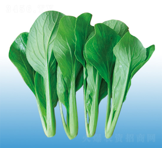 ����һ�͟��uë��-�๣�˷N��-�֠��r(n��ng)�I(y��)