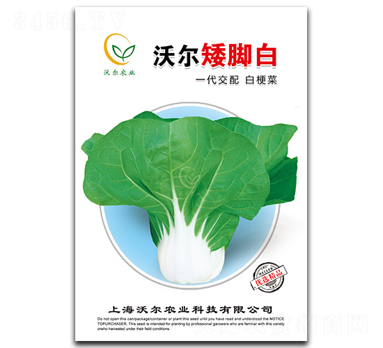 沃爾矮腳白-青梗菜種子-沃爾農(nóng)業(yè)