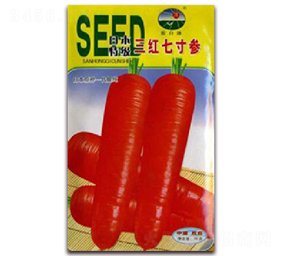 ���t�ߴ��˅�-�}���N��-�z��