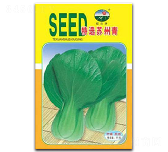 ���x�K����-��˷N��-�z��