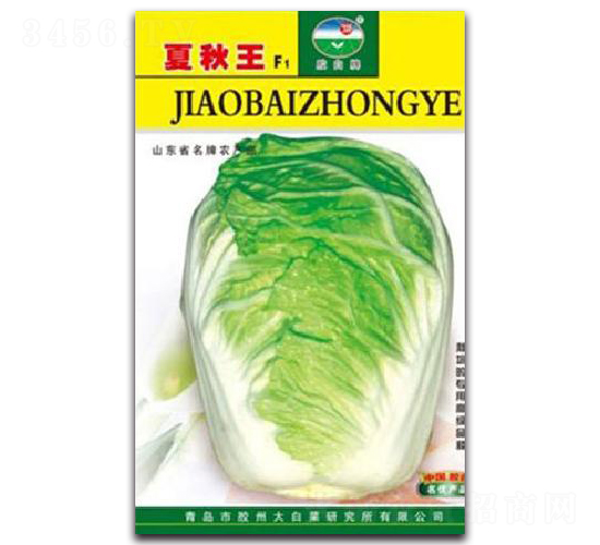 膠白夏秋王-白菜種子-膠白