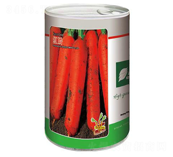 �t�-���}���N��-�S�T�N�I(y��)