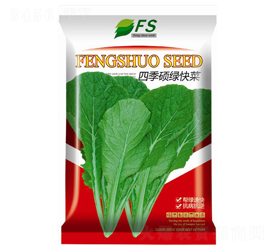 �ļ��T�G���-��˷N��-�S�T�N�I(y��)