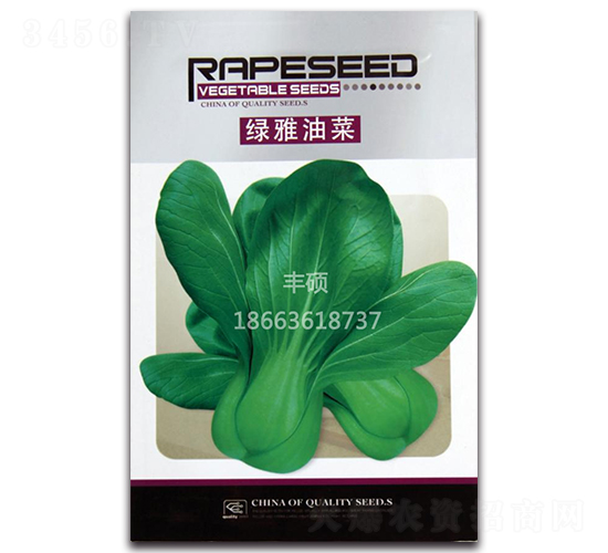 �G���Ͳ�-�๣�˷N��-�S�T�N�I(y��)