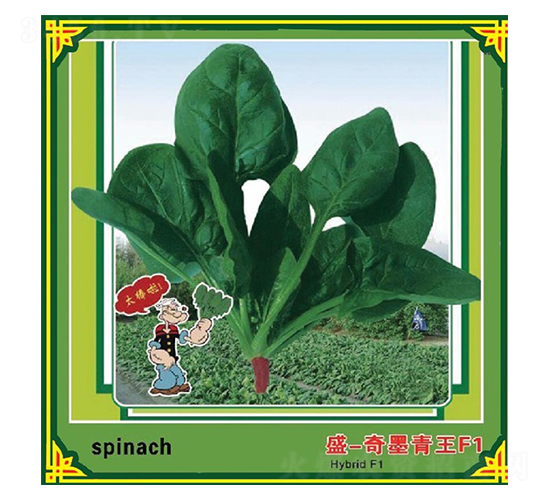 ʢ-��ī����F1-���˷N��-ʢ���N��