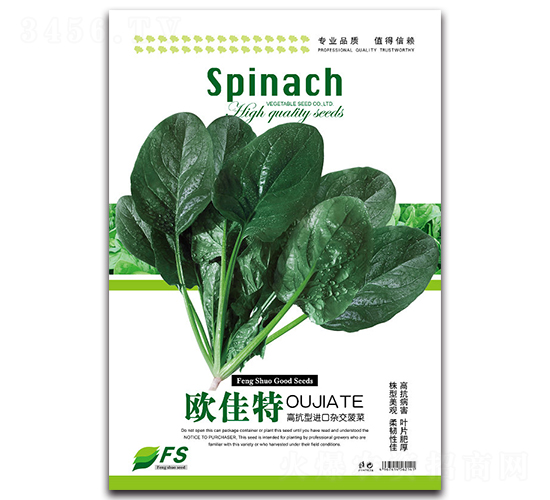 �W����-���˷N��-�S�T�N�I(y��)