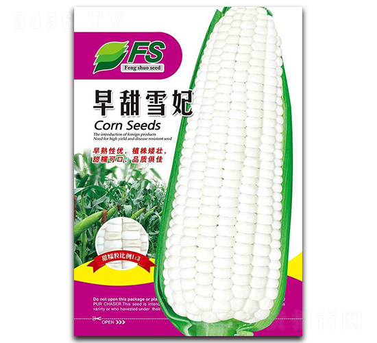 早甜雪妃-甜糯玉米種子-豐碩種業(yè)