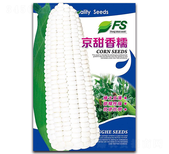 京甜香糯-甜糯玉米種子-豐碩種業(yè)