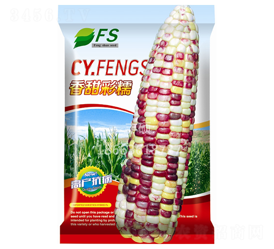 香甜彩糯-甜糯玉米種子-豐碩種業(yè)