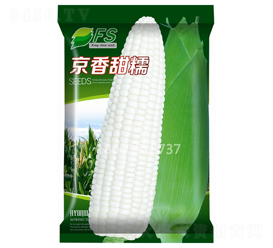 京香甜糯-甜糯玉米種子-豐碩種業(yè)