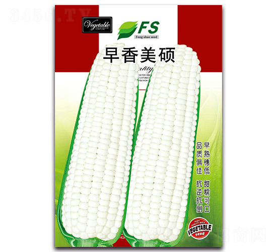 早香美碩-甜糯玉米種子-豐碩種業(yè)