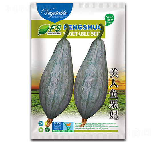 美人魚(yú)栗妃-南瓜種子-豐碩種業(yè)