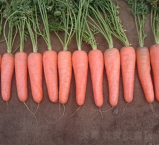 ���S1366-���}���N��-���S�r(n��ng)�I(y��)