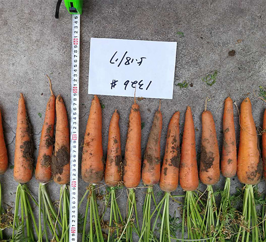 HY1326-���}���N��-���S�r(n��ng)�I(y��)