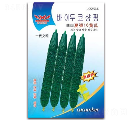 夏強(qiáng)16黃瓜-黃瓜種子-科翔種業(yè)