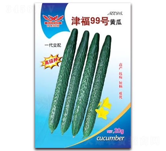 津福99號(hào)黃瓜-黃瓜種子-科翔種業(yè)