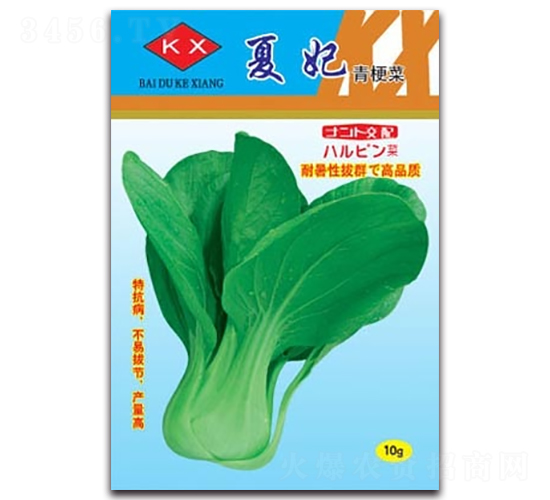 ����-�๣�˷N��-����N�I(y��)