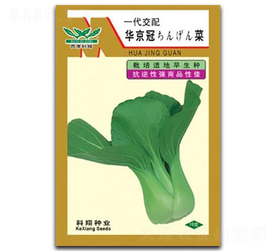 �A����-�๣�˷N��-����N�I(y��)