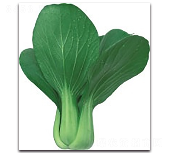 ����98�๣��-�๣�˷N��-����N�I(y��)