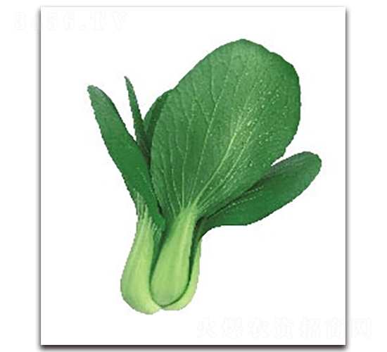 �A�ļt3̖(h��o)�๣��-�๣�˷N��-����N�I(y��)