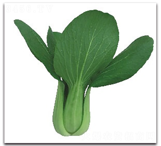 �A�ļt2̖�๣��-�๣�˷N��-����N�I(y��)