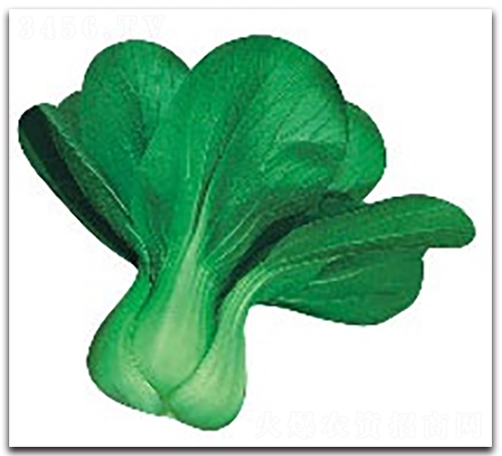 ����4̖-�๣�˷N��-����N�I(y��)