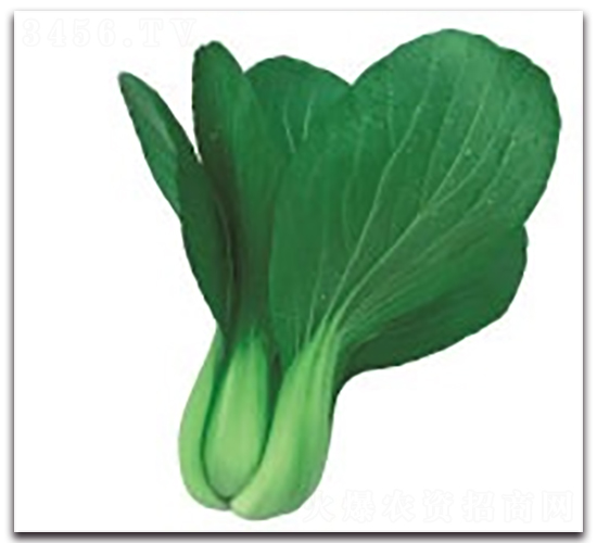 ����2̖-�๣�˷N��-����N�I(y��)