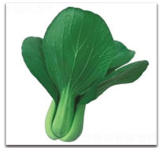 ��(��i)��1̖(h��o)-�๣�˷N��-����N�I(y��)