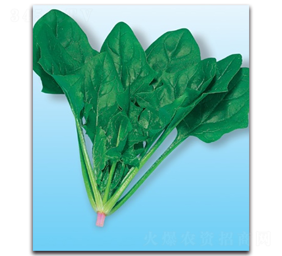 ��(y��u)Խ-���˷N��-����N�I(y��)