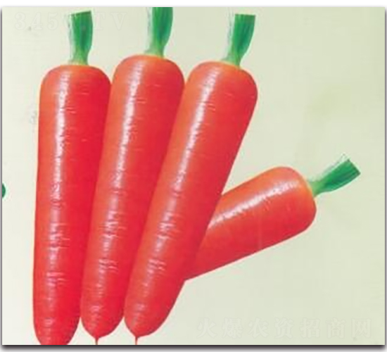 �t��160���}��-�}���N��-����N�I(y��)