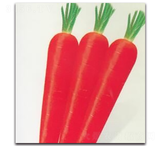 �t��110���}��-�}���N��-����N�I(y��)