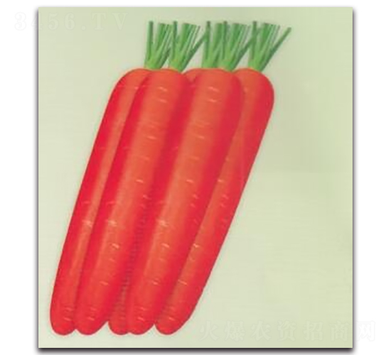 �t��100���}��-�}���N��-����N�I(y��)