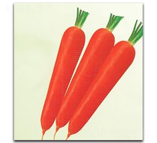 �|��20���}��-�}���N��-����N�I(y��)