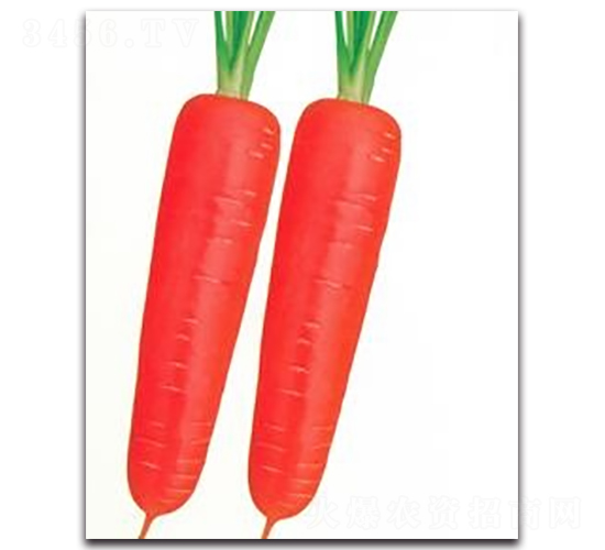 �|��19���}��-�}���N��-����N�I(y��)