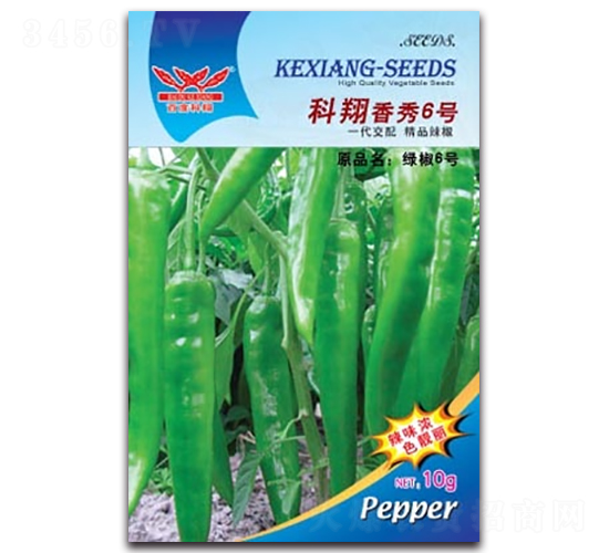 ��������6̖(h��o)-�����N��-����N�I(y��)