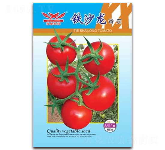 鐵沙龍番茄-番茄種子-科翔種業(yè)