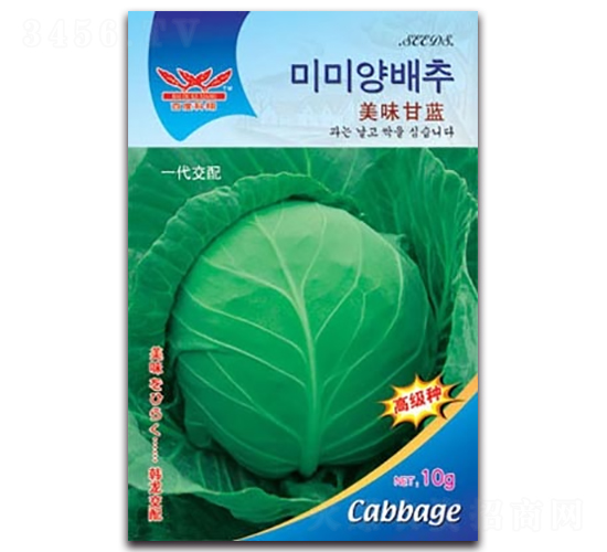 ��ζ���{(l��n)-���{(l��n)�N��-����N�I(y��)