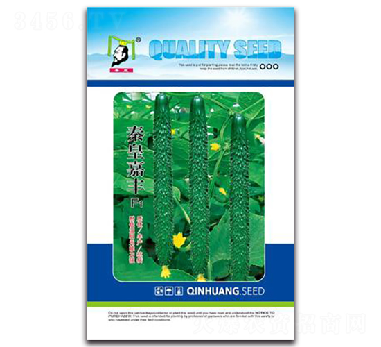 秦皇嘉豐-黃瓜種子-秦皇