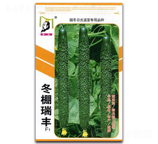 冬棚瑞豐F1-黃瓜種子-秦皇
