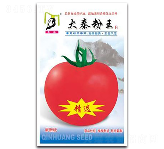 ���x���ط���F1-���ѷN��-�ػ�