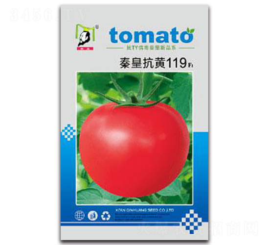 秦皇抗黃119F1-番茄種子-秦皇