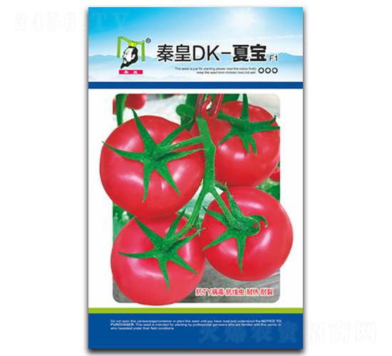秦皇DK-夏寶F1-番茄種子-秦皇
