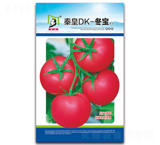 秦皇DK-冬寶F1-番茄種子-秦皇