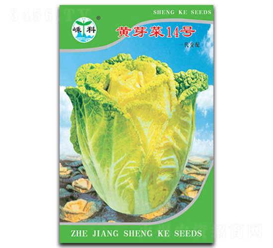 �Sѿ��14̖-ѿ�˷N��-�ӿƷN�I(y��)