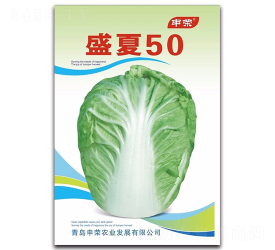 盛夏50-白菜種子-申榮農(nóng)業(yè)