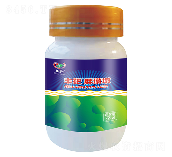 豐靶胖墩墩-諾士達(dá)