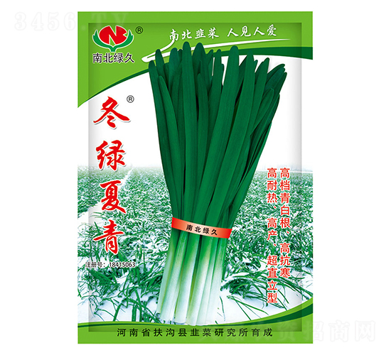 冬綠夏青-韭菜種子-南北綠久