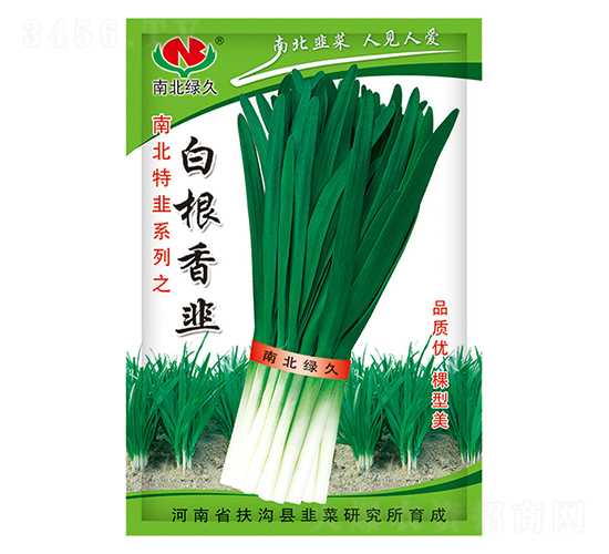 白根香韭-韭菜種子-南北綠久