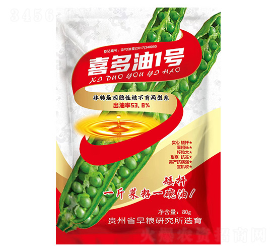 喜多油1號(hào)-金九昌