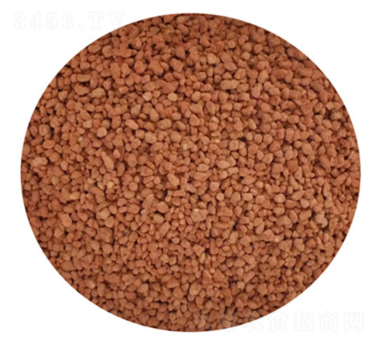 ���@���ʣ�С�w����-����������